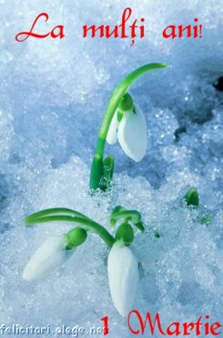 1 March